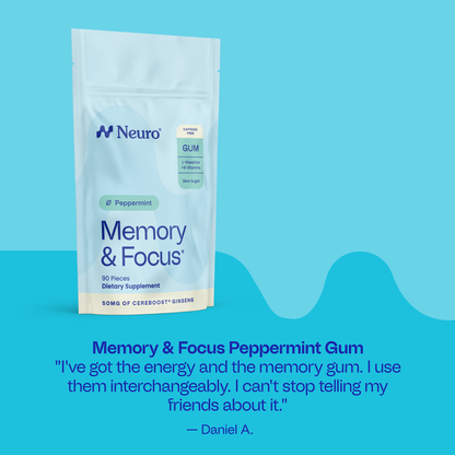 The Neuro Bundle